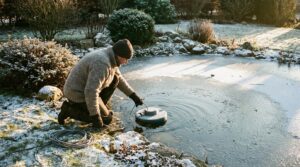 Zimowanie ryb w oczku wodnym: przygotowanie i ochrona przed mrozem